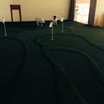 indoor-golf-course-with-sheep