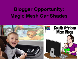 blog-job-car-shade