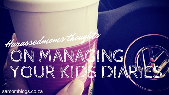 HarassedMom Thoughts on Managing your Kids Diaries