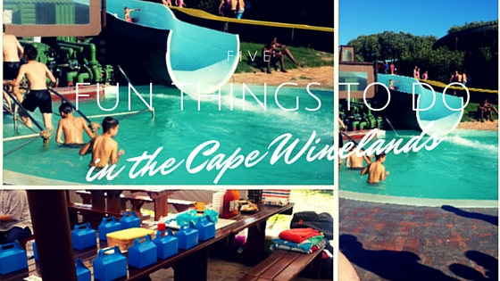 5 Fun Things to do in the Cape Winelands
