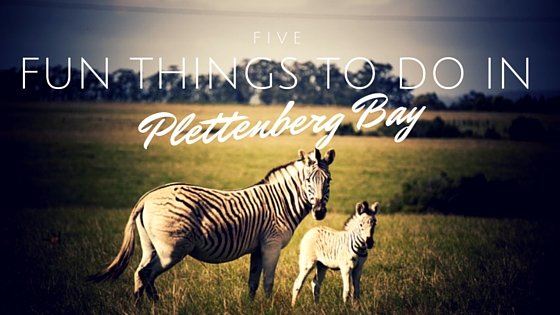 Fun Things to do in Plettenberg Bay|SA Mom Blogs (8)