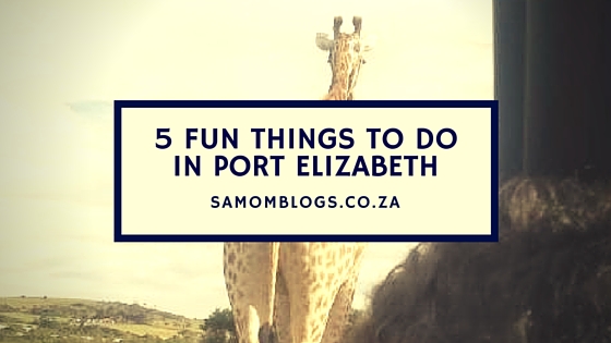 Fun Things To Do In Port Elizabeth
