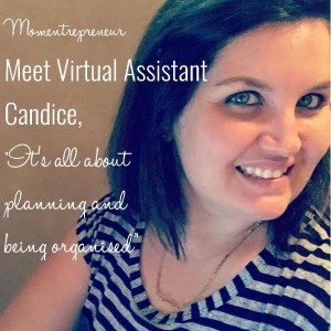 shandee virtual assistant