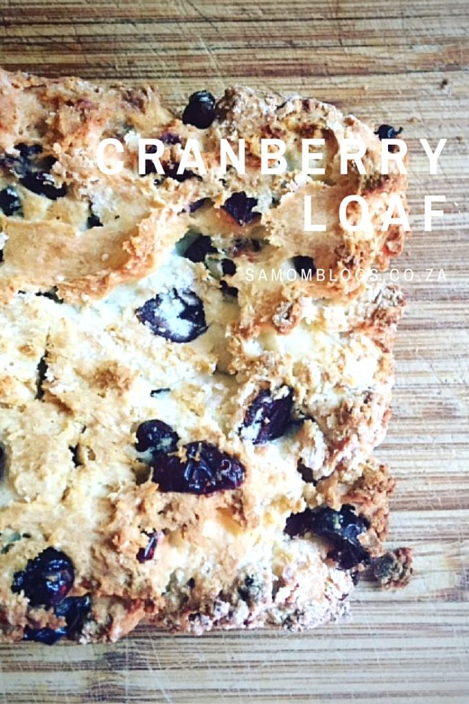 Cranberry loaf|SA Mom Blogs