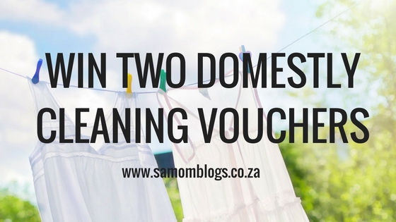 Domestly | SA Mom Blogs