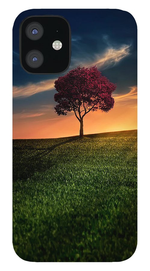 tree and sunset iPhone case