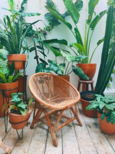 balcony garden