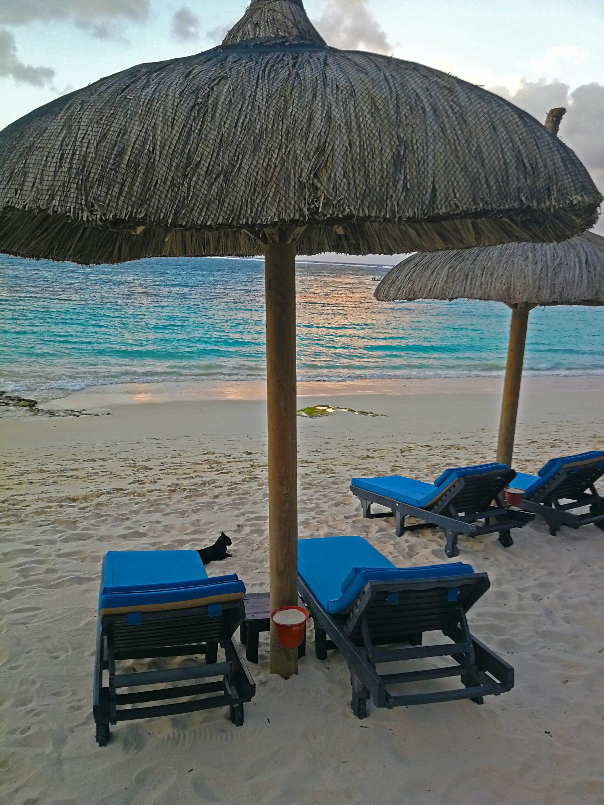 beach and thatch umbrellas in Mauritius