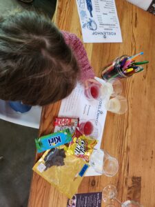 Koelenhof Wine Cellar kids wine tasting Stellenbosch, stellenbosch with kids