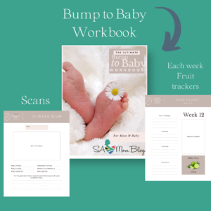 Workbook to keep track of your pregnancy, week by week.