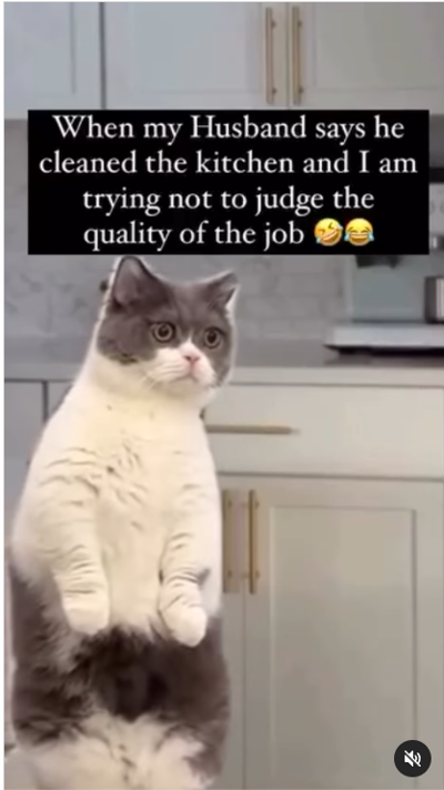  Cat meme: When my husband says he cleaned the kitchen and I am trying not to judge the quality of the job. 