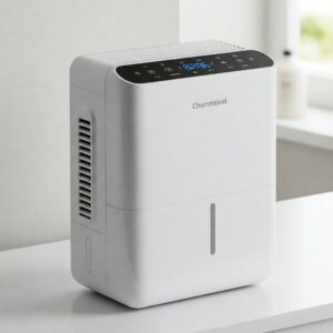 a dehumidifier to help prevent mould