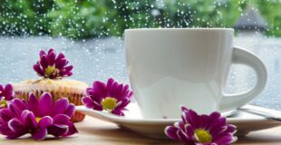 Keep your home clean during the rainy season. A piture of a cup of coffee with flowers next to a rainy window.