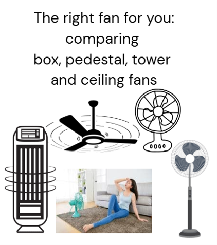 The right fan for you: comparing box, pedestal, tower and ceiling fans.