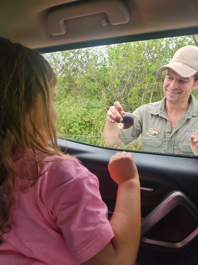 Safari guide gives child a fruit