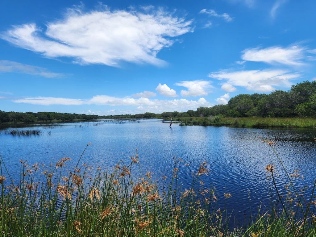 st lucia - a lovely picture of the river where you can see hippos