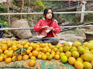 A girl selling oranges