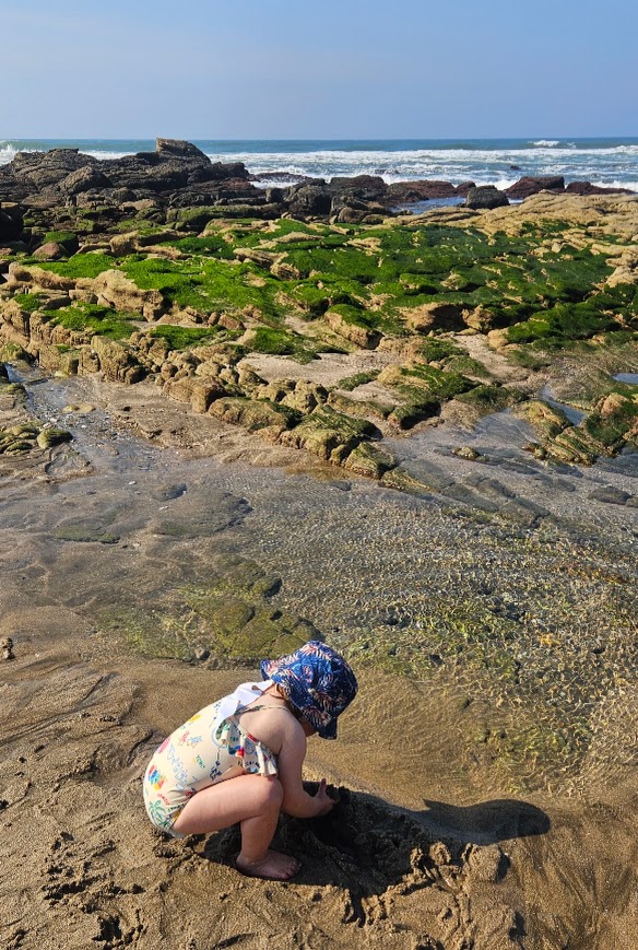 play in the rock pools